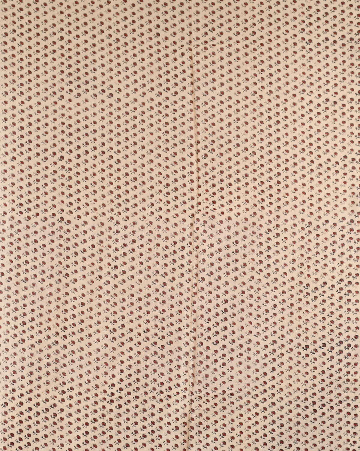 Parvai Bagru Silk Cotton Sari