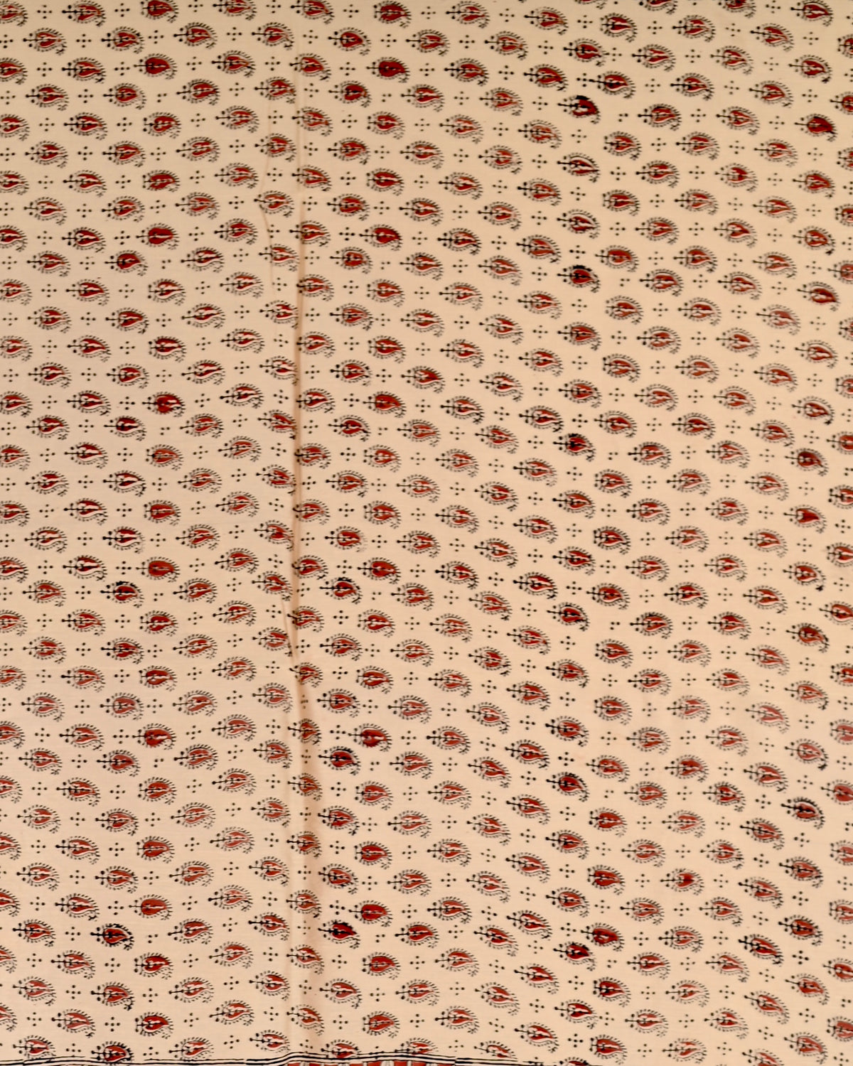 Parvai Bagru Silk Cotton Sari