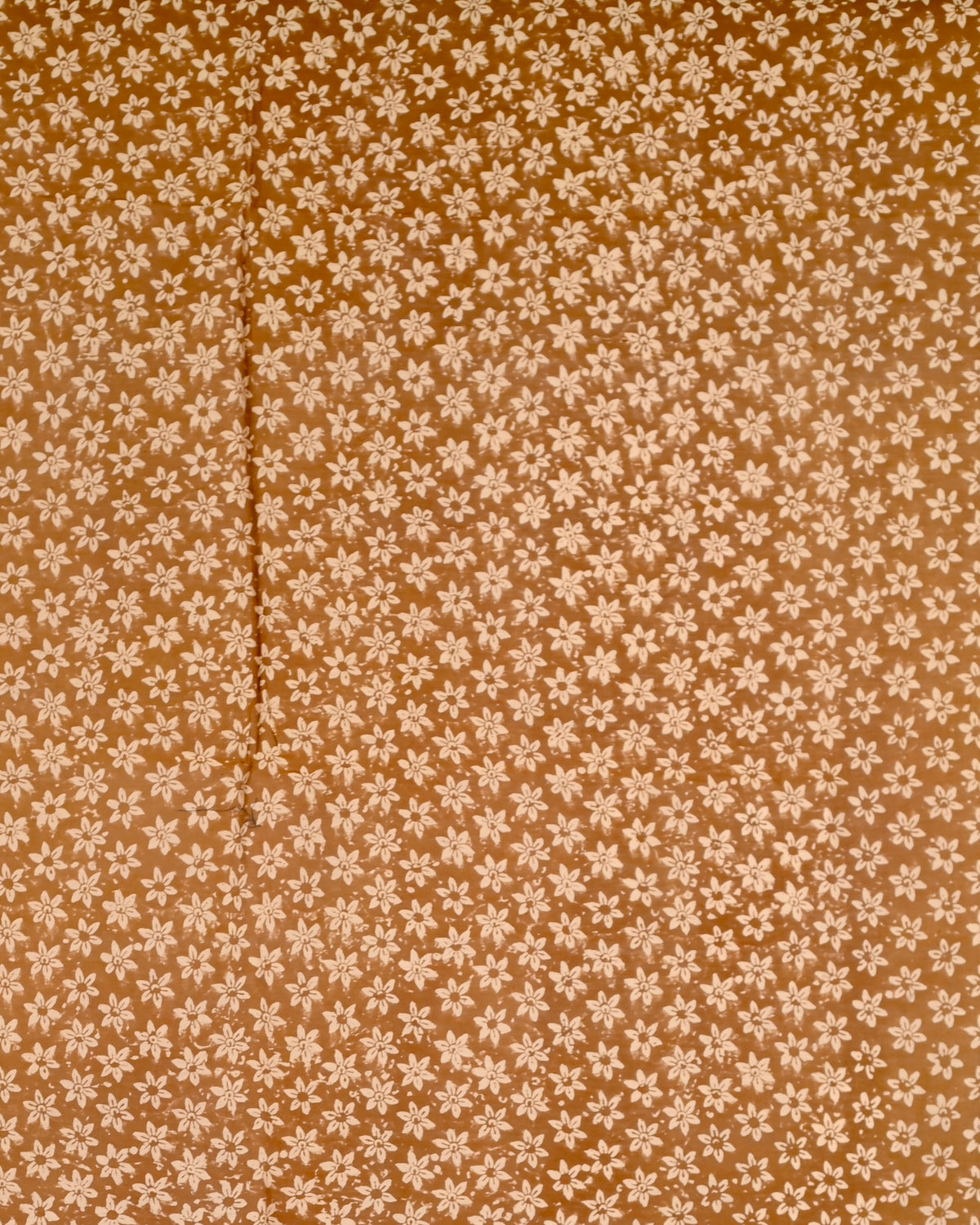 Parvai Bagru Silk Cotton Sari