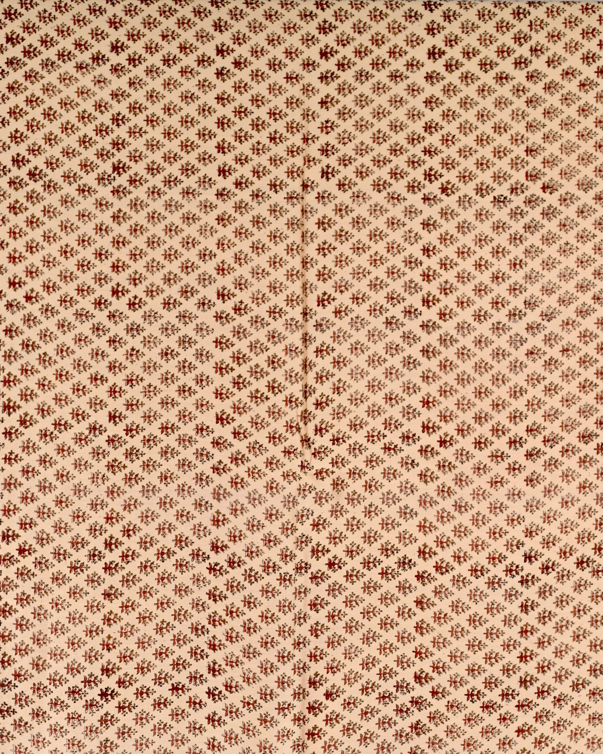 Parvai Bagru Silk Cotton Sari