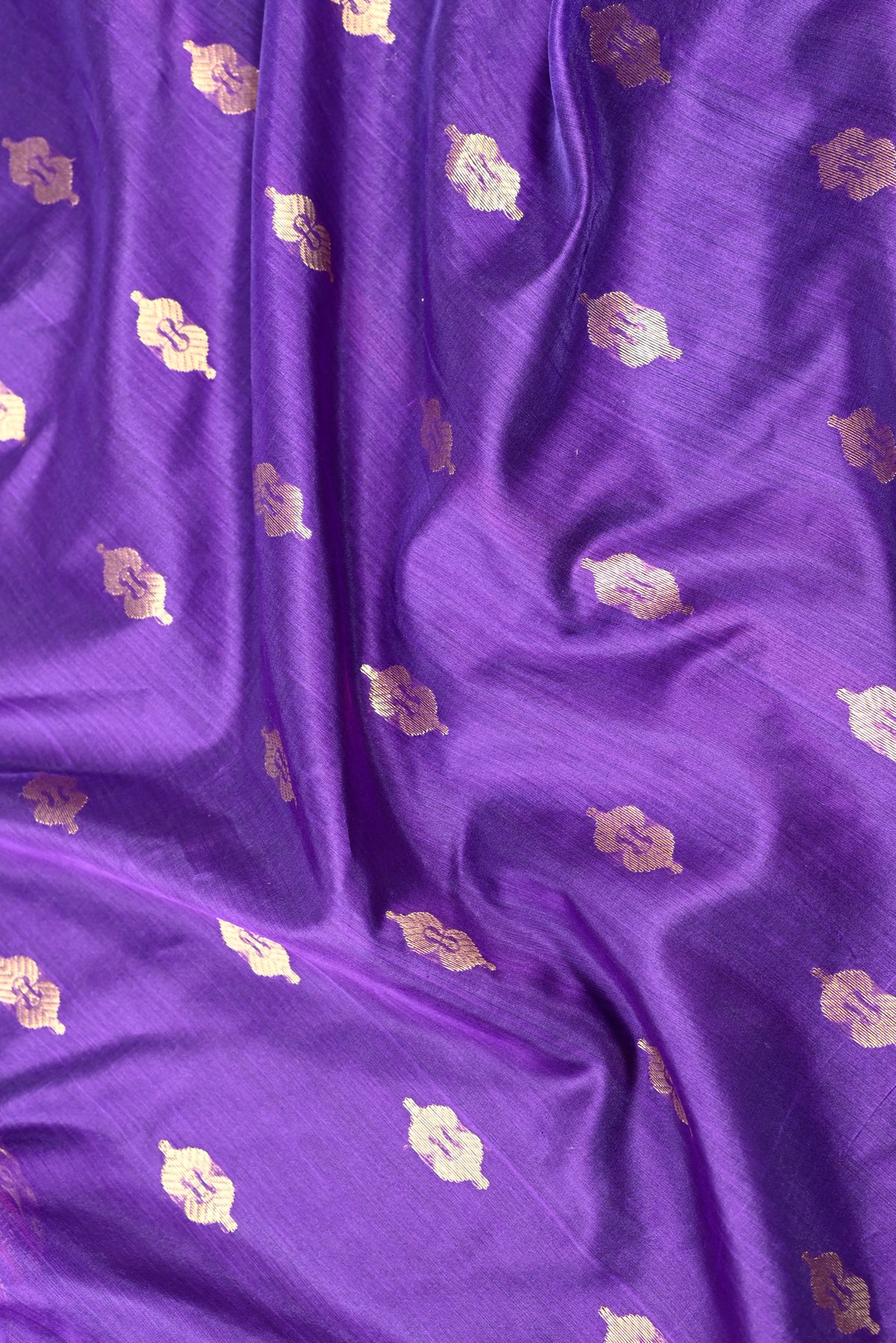 Parvai Silk Cotton Chanderi Sari : Bhadra