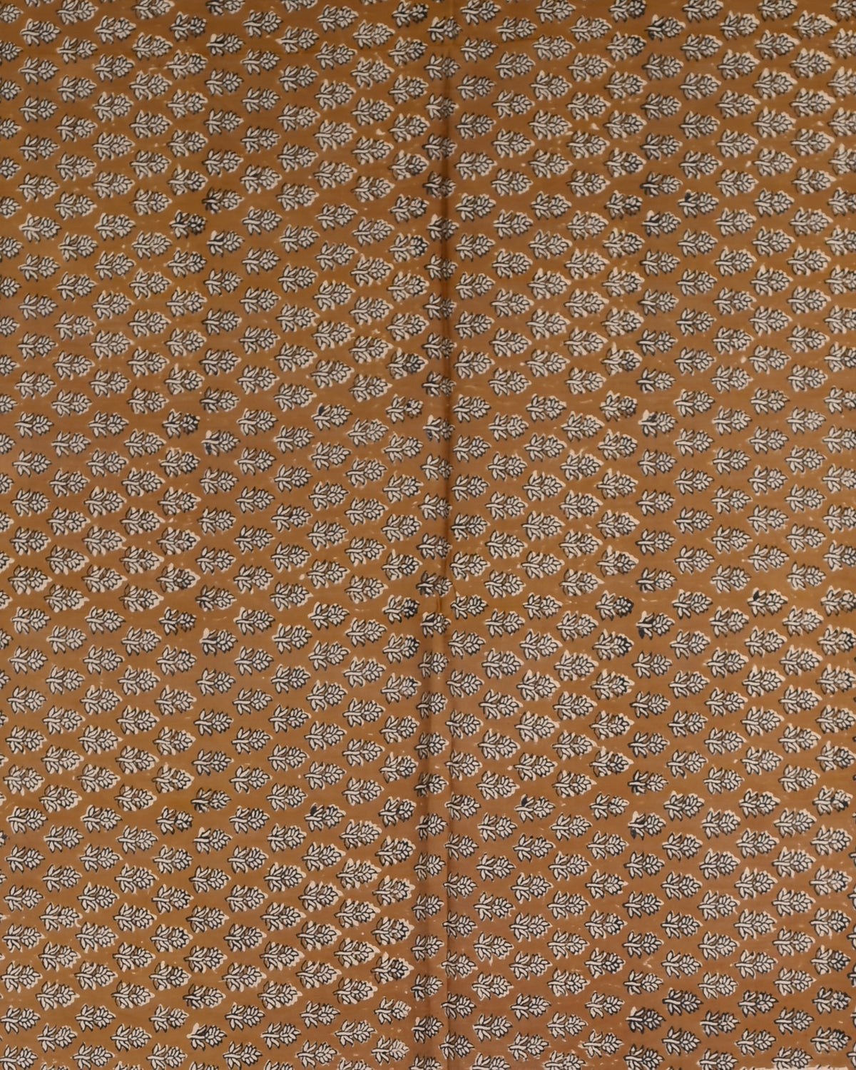 Parvai Bagru Silk Cotton Sari