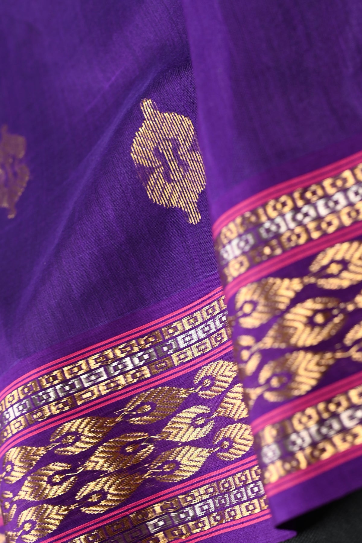 Parvai Silk Cotton Chanderi Sari : Bhadra