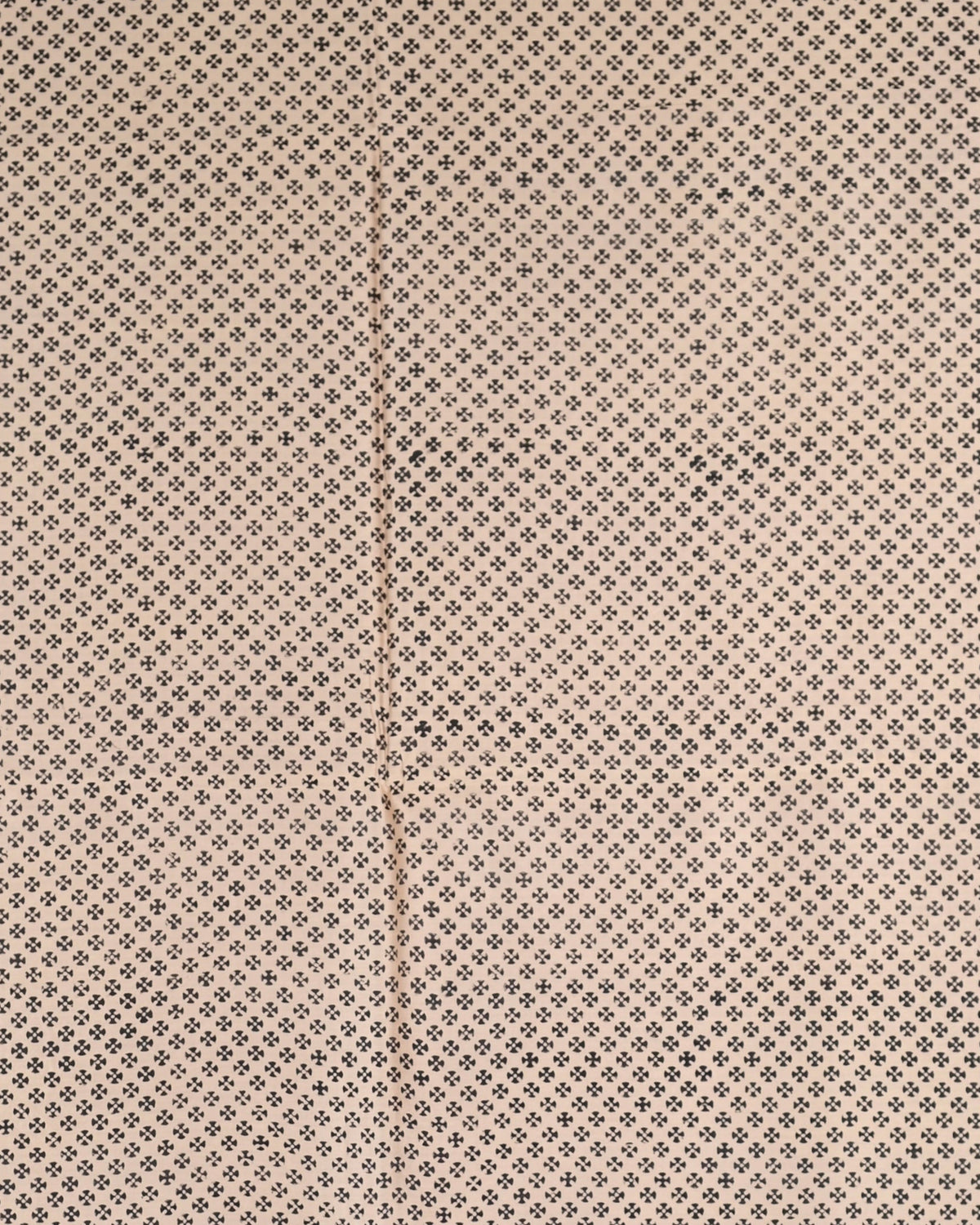 Parvai Bagru Silk Cotton Sari