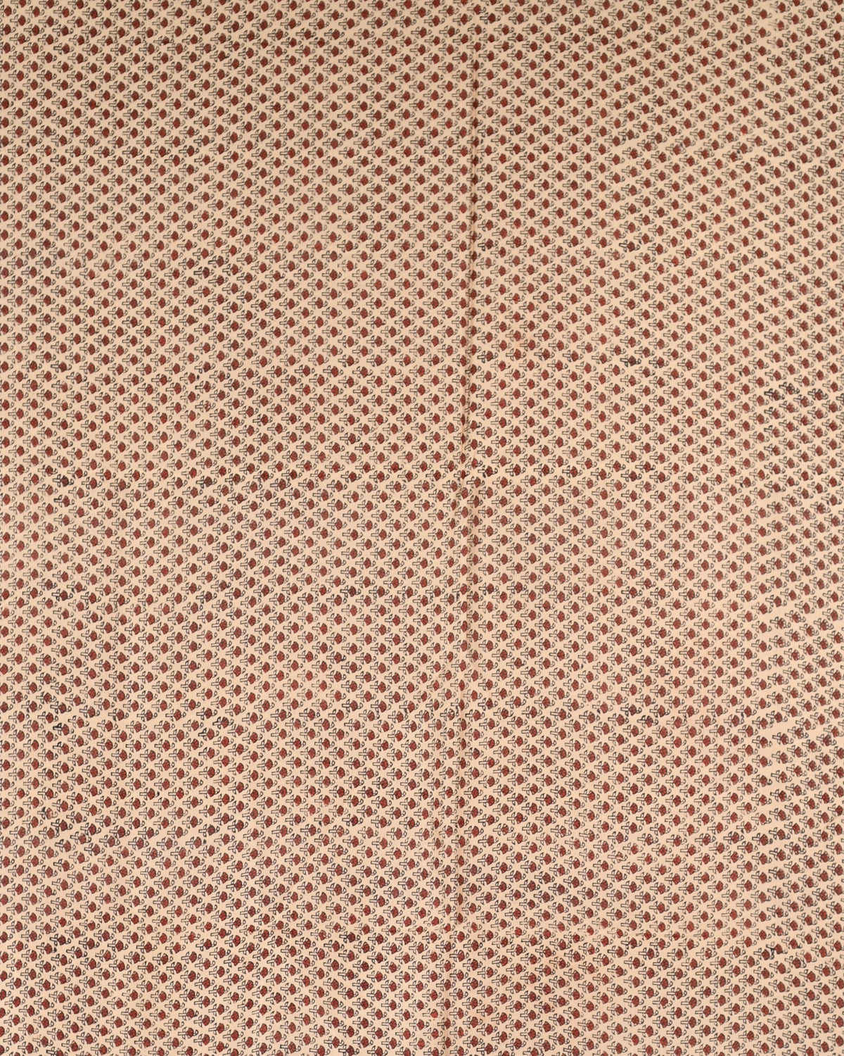 Parvai Bagru Silk Cotton Sari