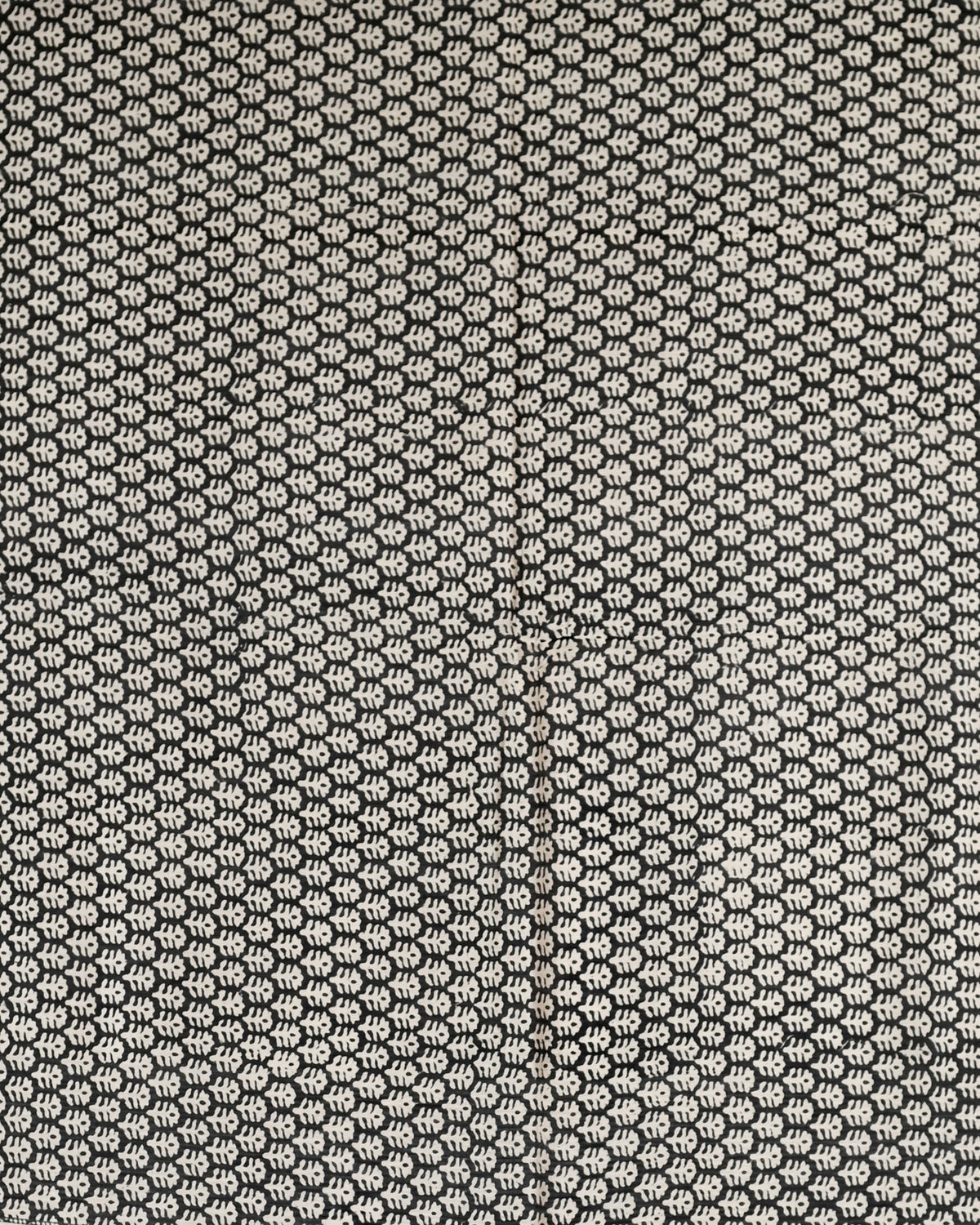 Parvai Bagru Silk Cotton Sari
