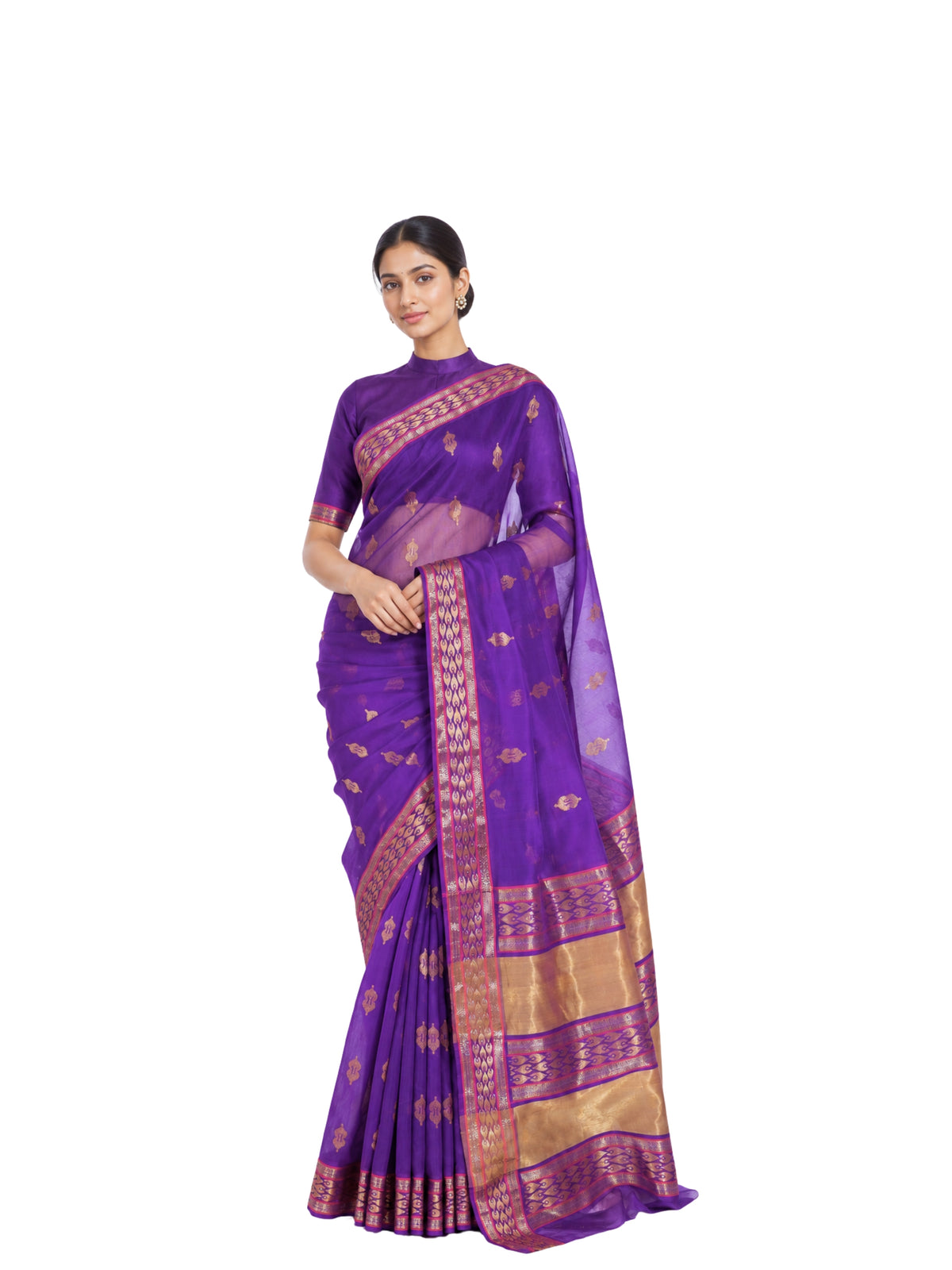 Parvai Silk Cotton Chanderi Sari : Bhadra