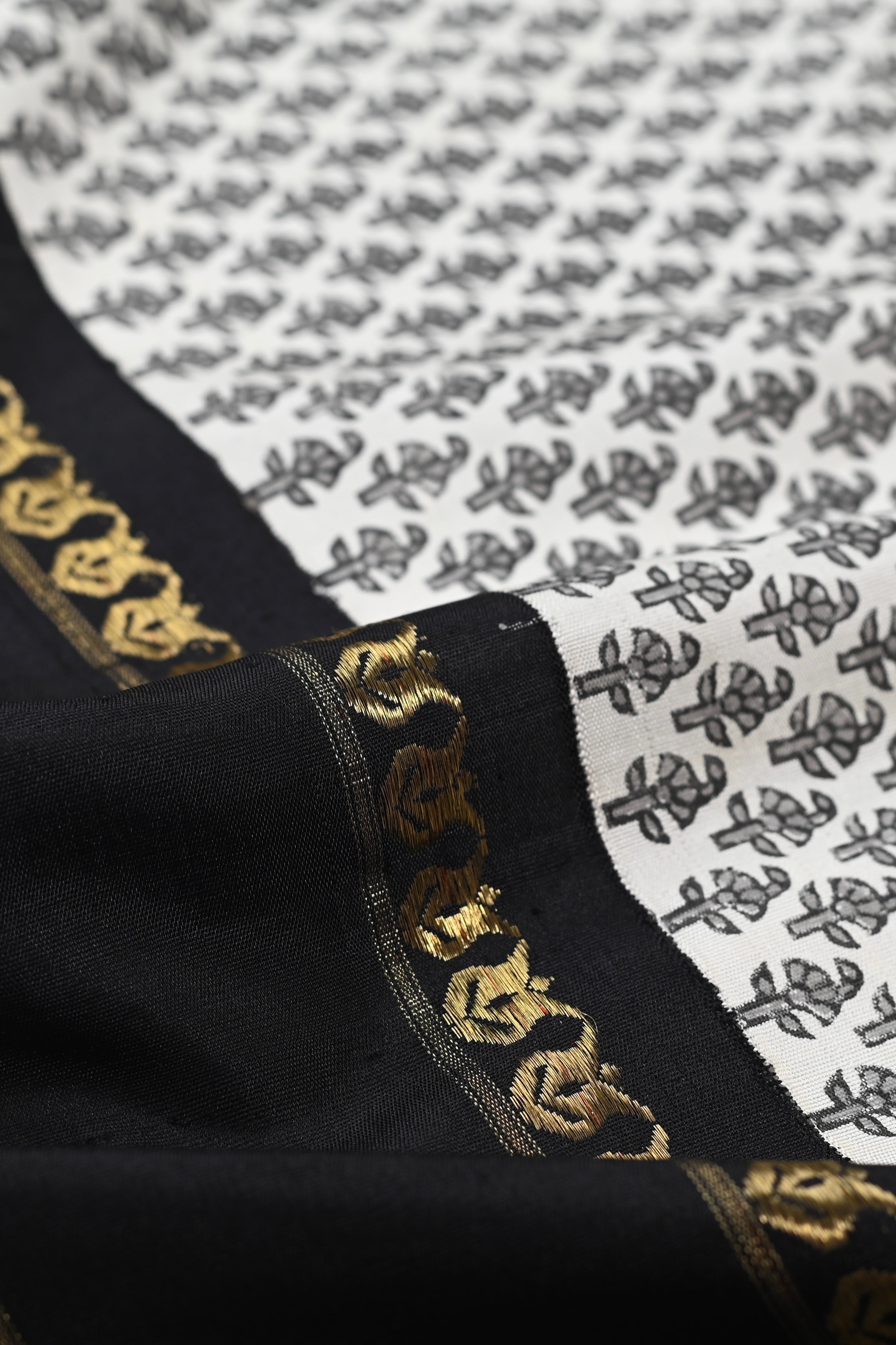 Parvai Blockprinted Kanchipuram Silk Sari