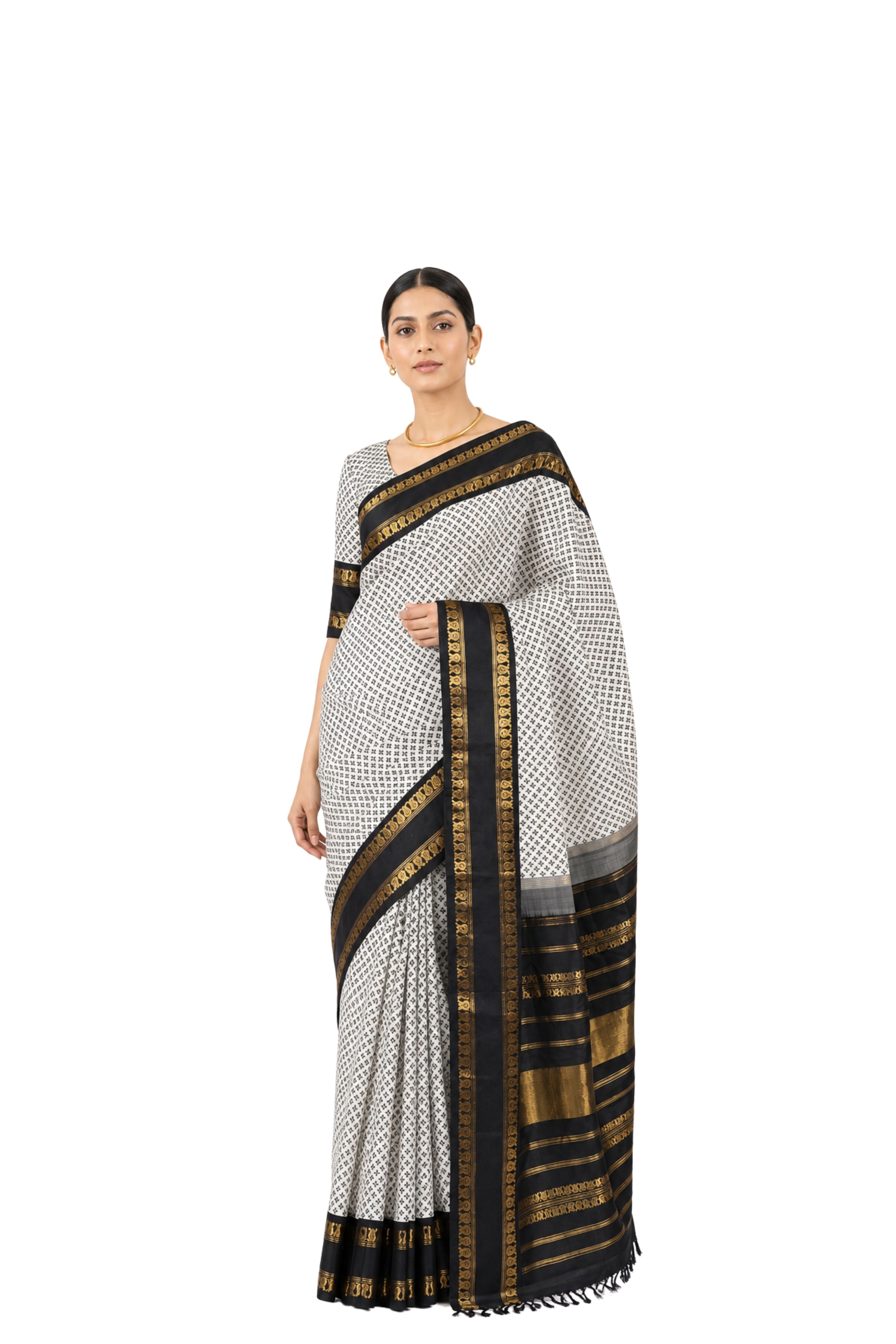 Parvai Blockprinted Kanchipuram Silk Sari