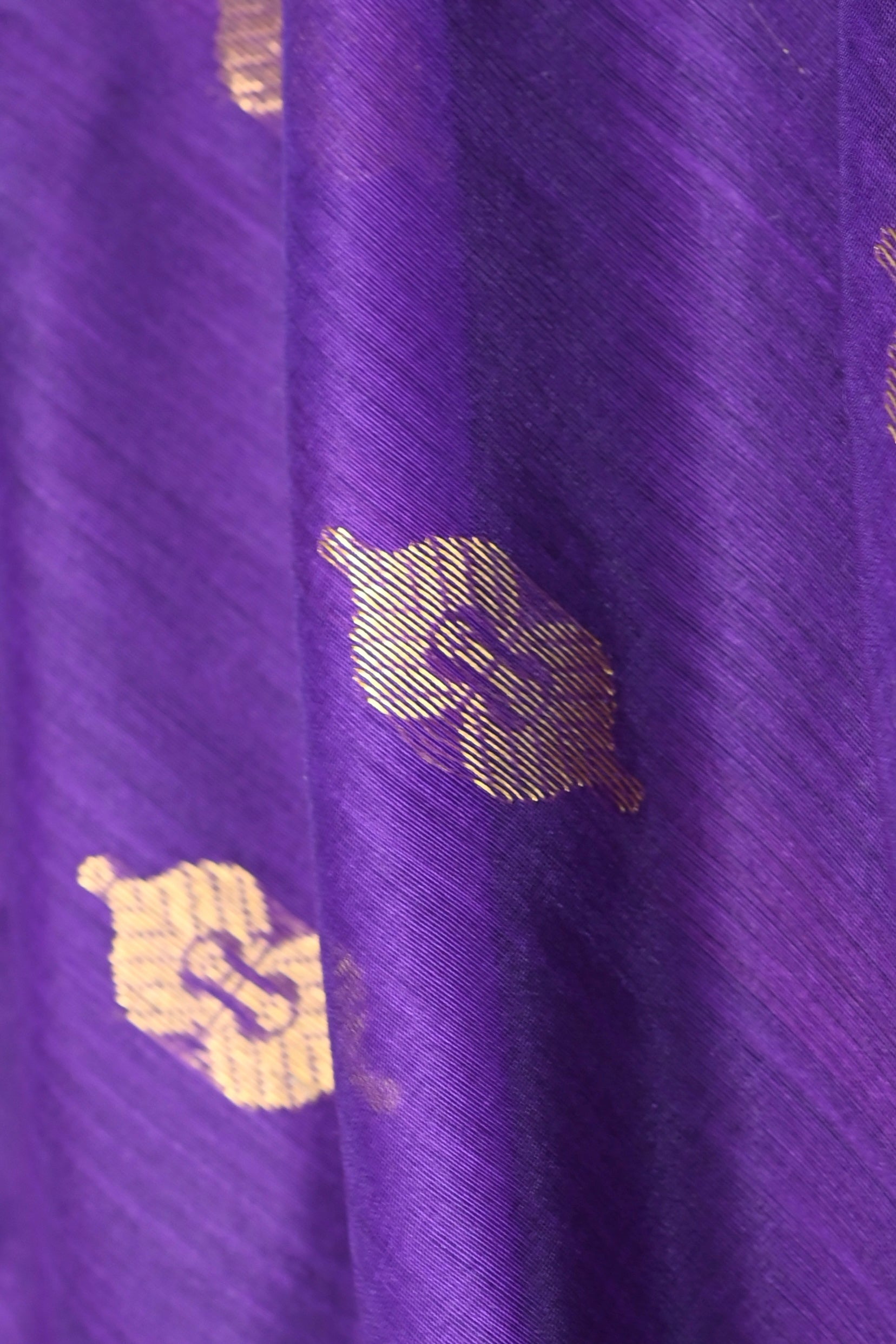 Parvai Silk Cotton Chanderi Sari : Bhadra