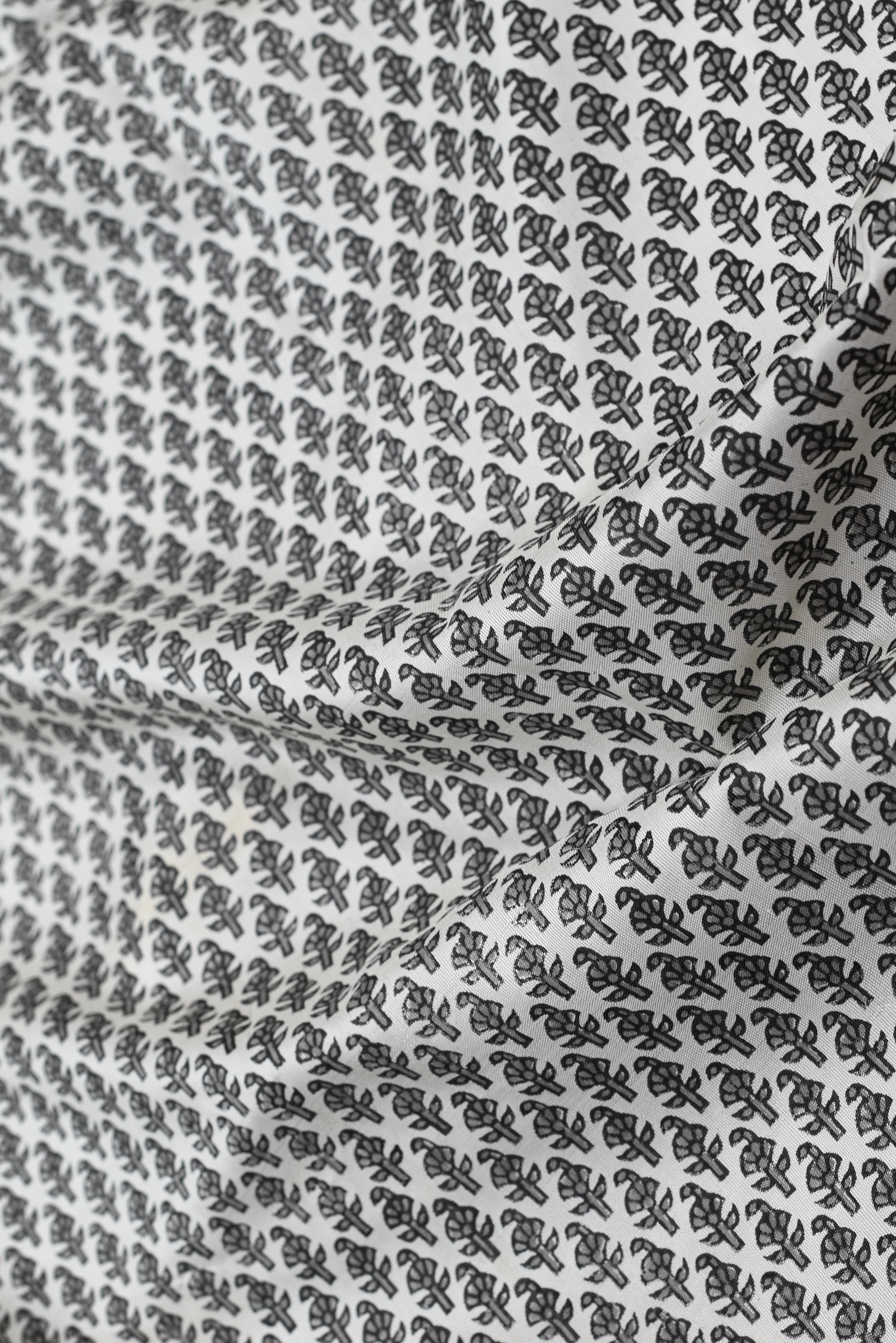 Parvai Blockprinted Kanchipuram Silk Sari