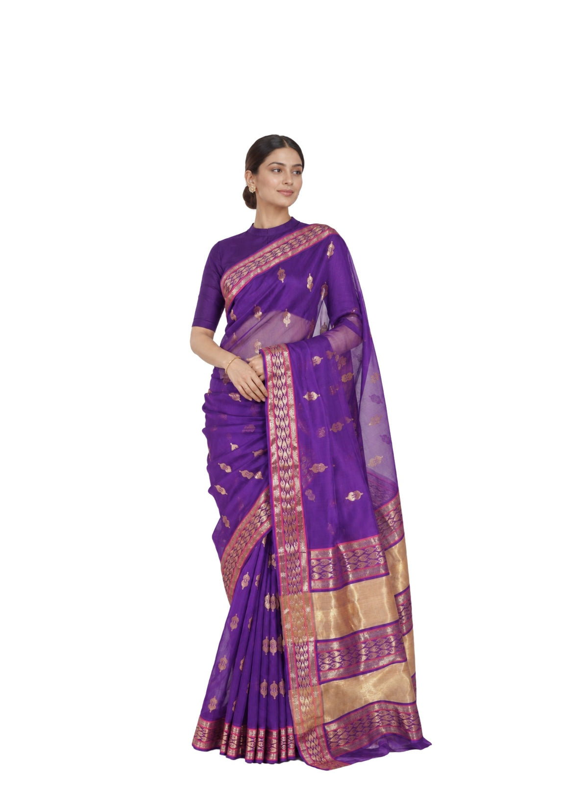 Parvai Silk Cotton Chanderi Sari : Bhadra