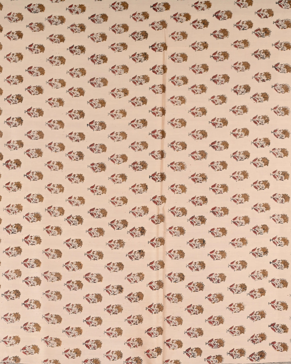 Parvai Bagru Silk Cotton Sari