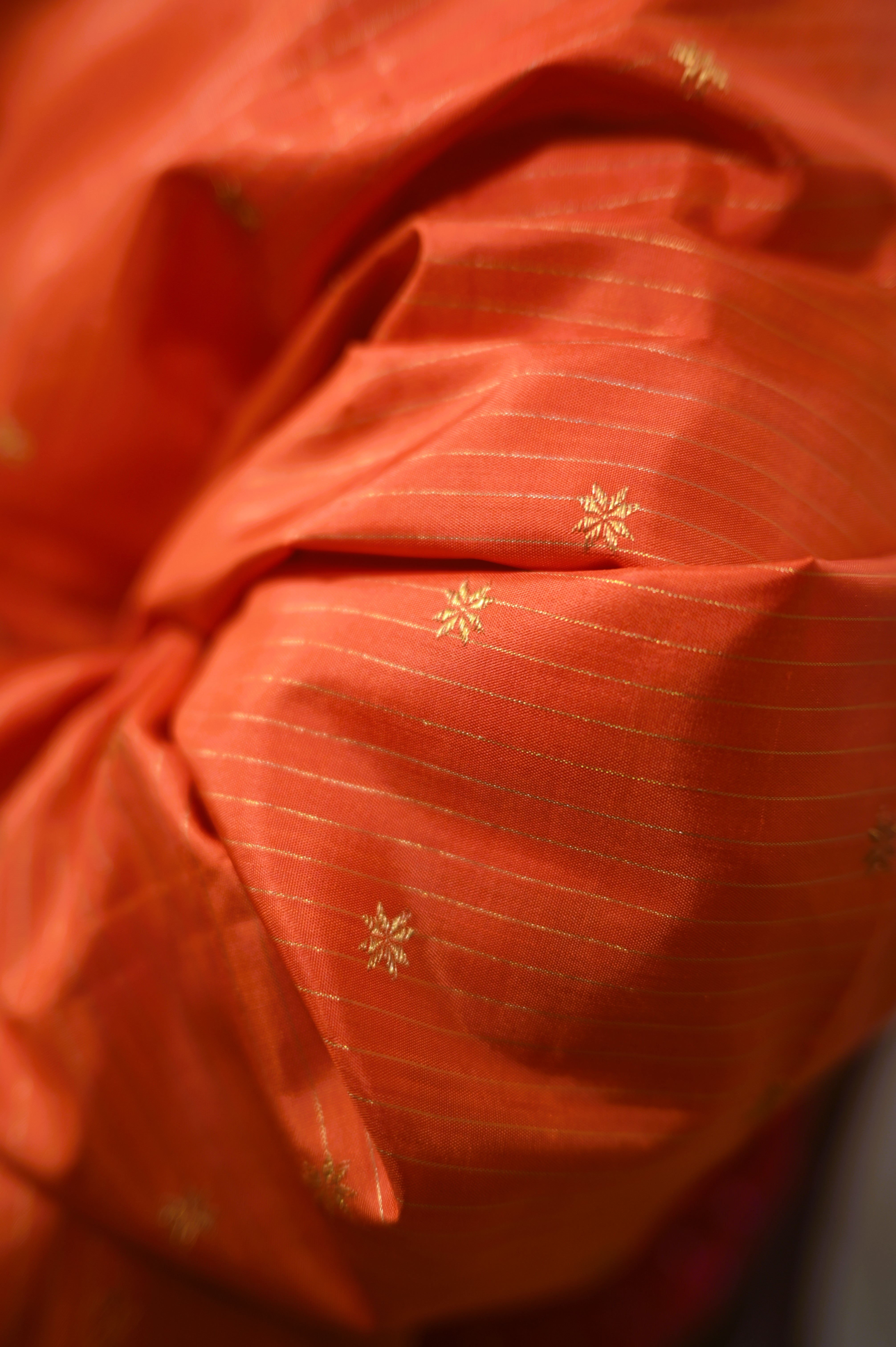 BHANUREKHA