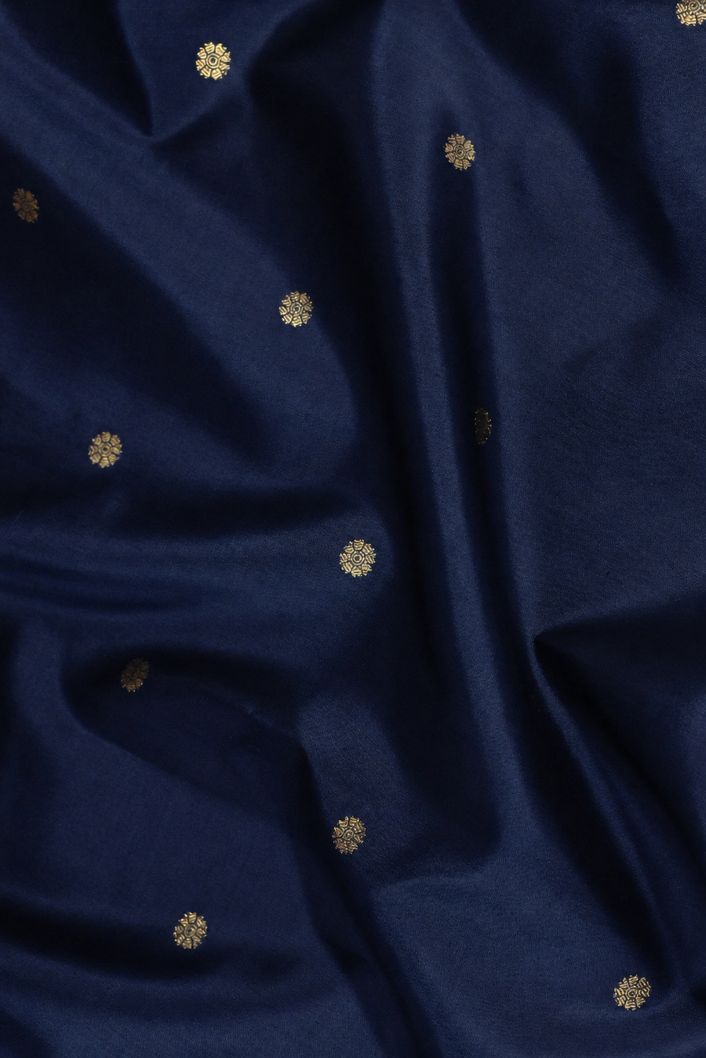 Parvai Molakalmuru Silk Sari : Dhruvi