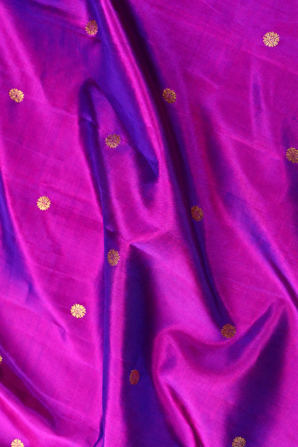Parvai Molakalmuru Silk Sari : Dhruvi