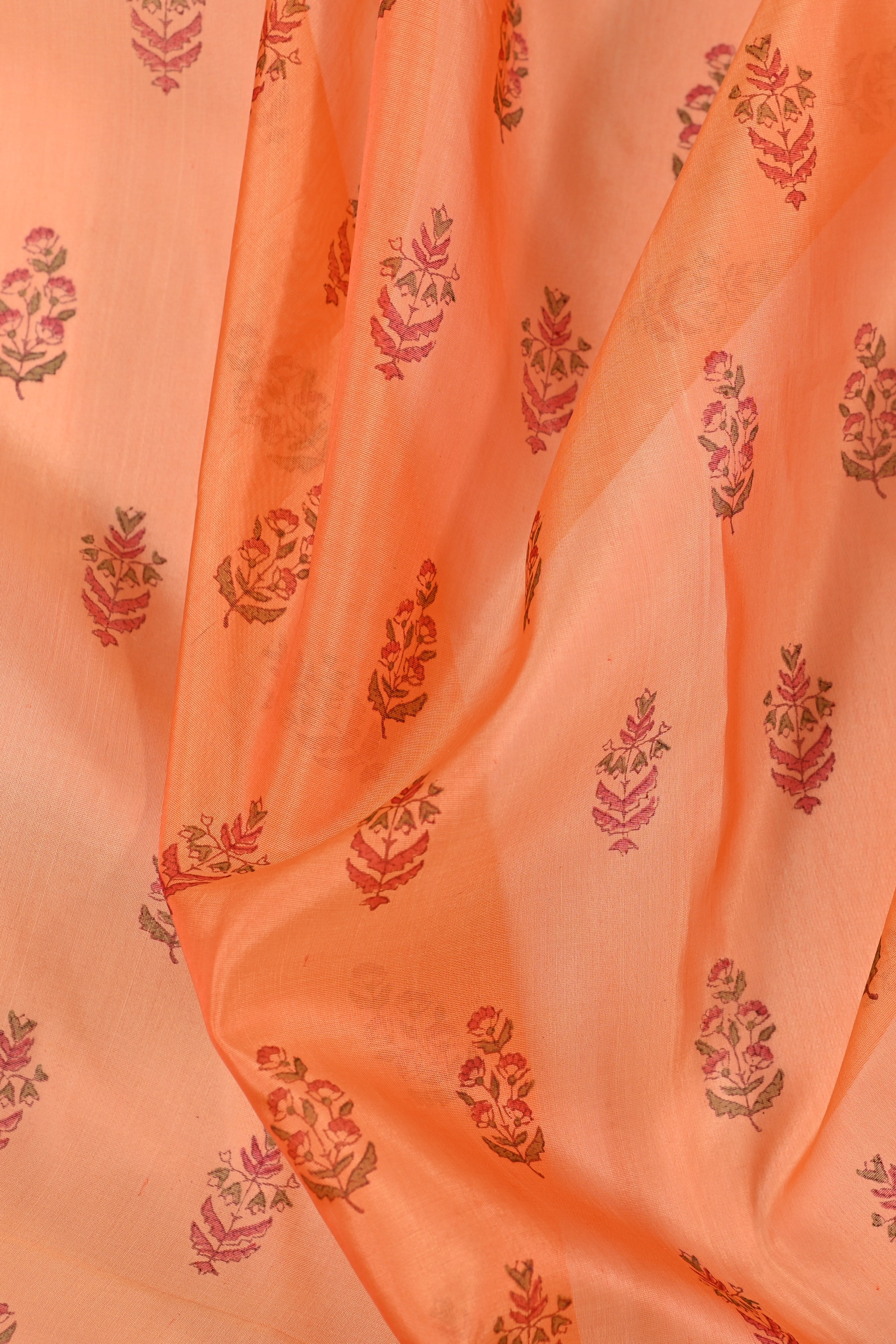 Parvai Block Printed Organza Silk Sari : Vasanthi