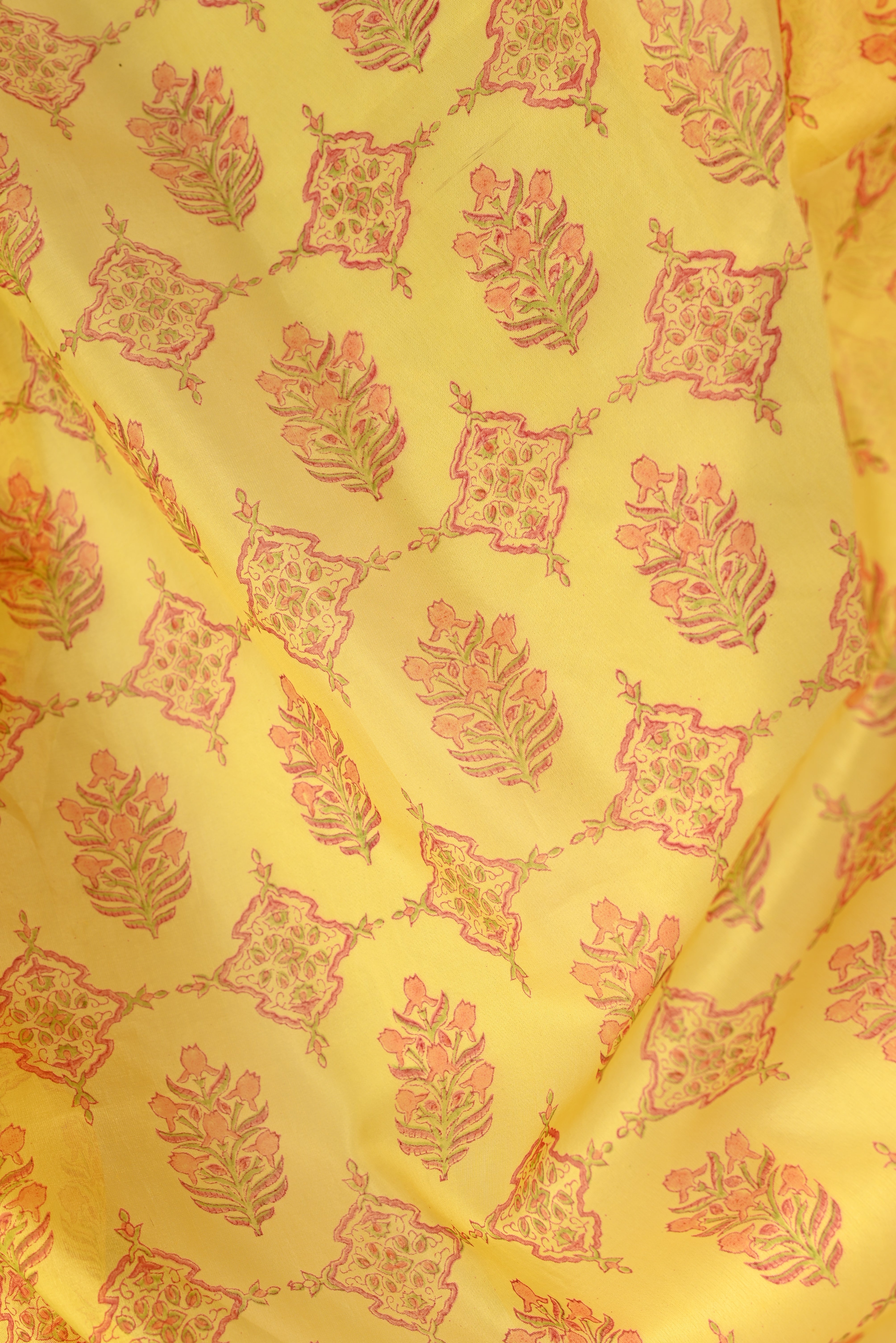 Parvai Block Printed Organza Silk Sari : Vasanthi