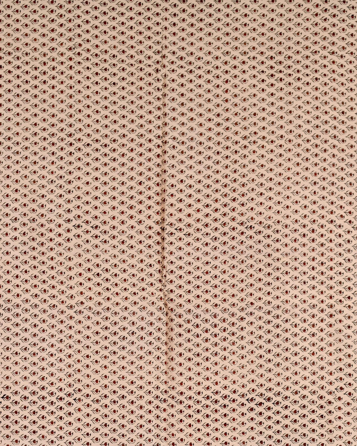 Parvai Bagru Silk Cotton Sari