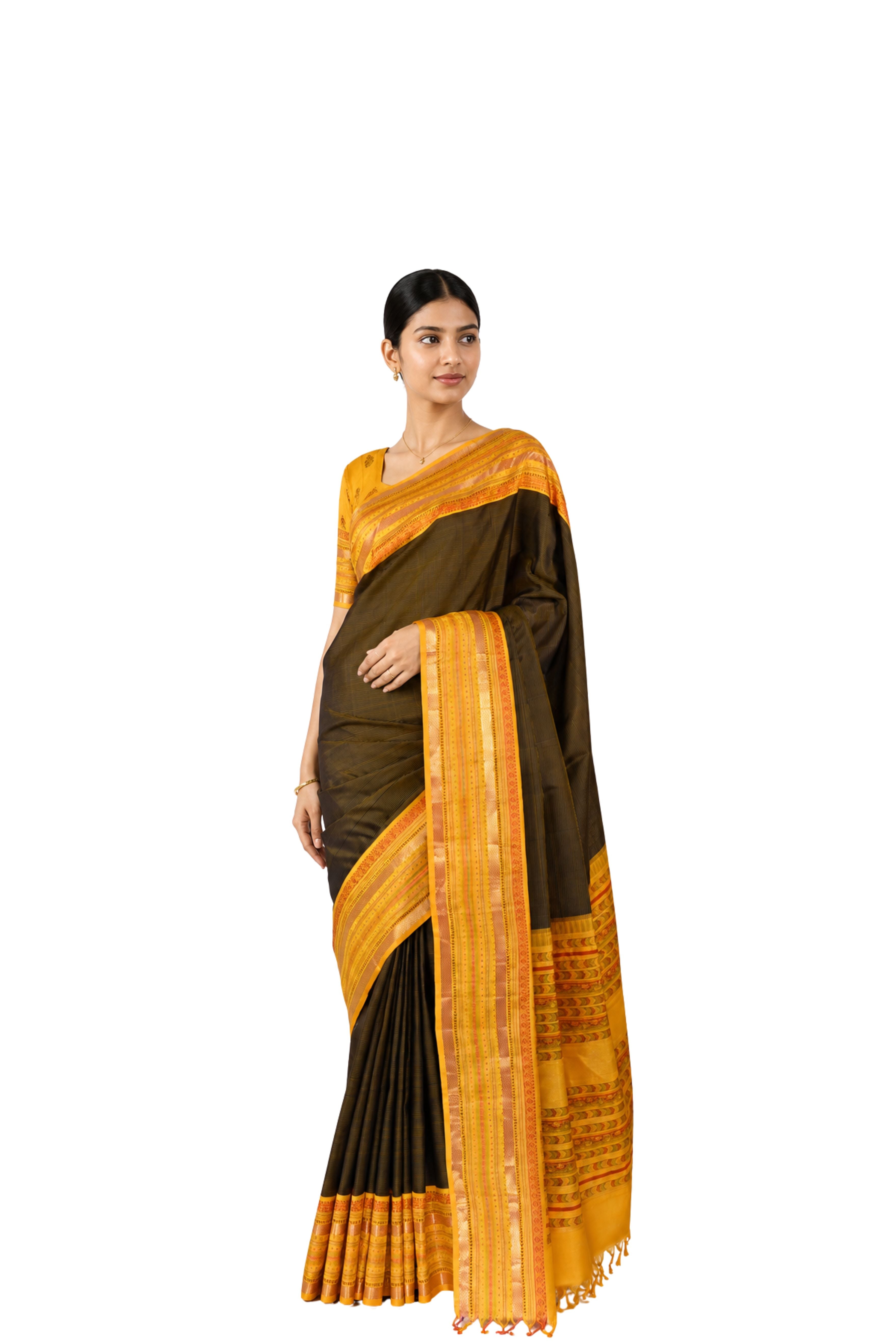Parvai Blockprinted Kanchipuram Silk Sari