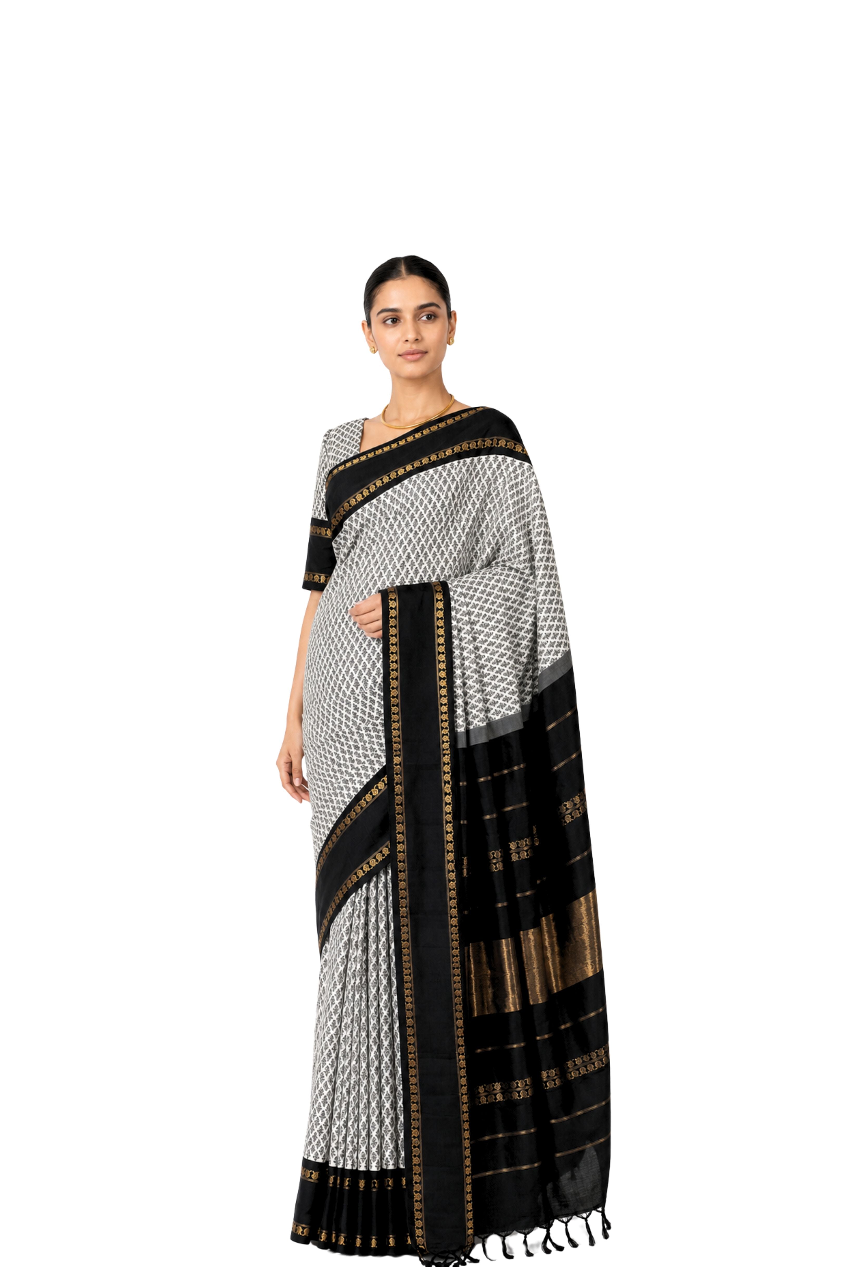Parvai Blockprinted Kanchipuram Silk Sari