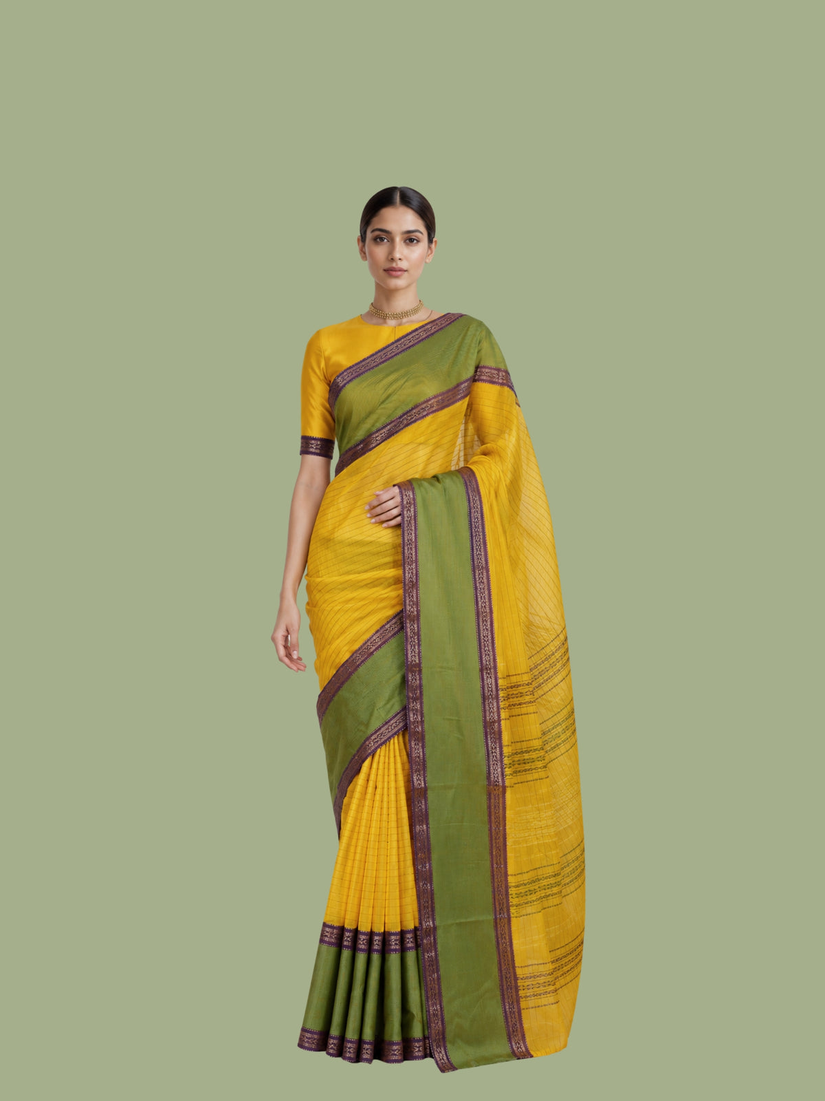 Parvai Silk Cotton Sari : Rajeshwari Cotton Borders
