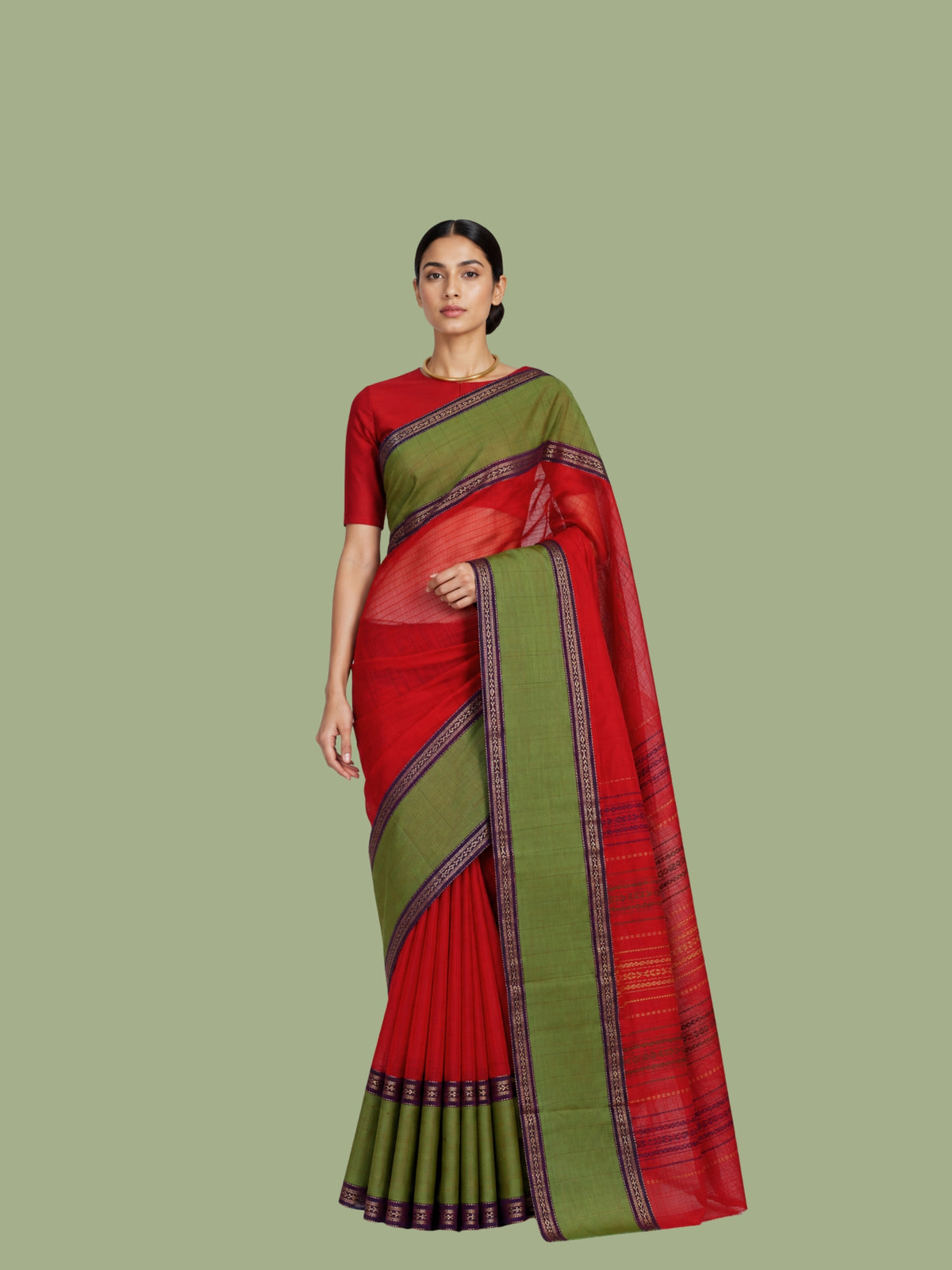 Parvai Silk Cotton Sari : Rajeshwari Cotton Borders